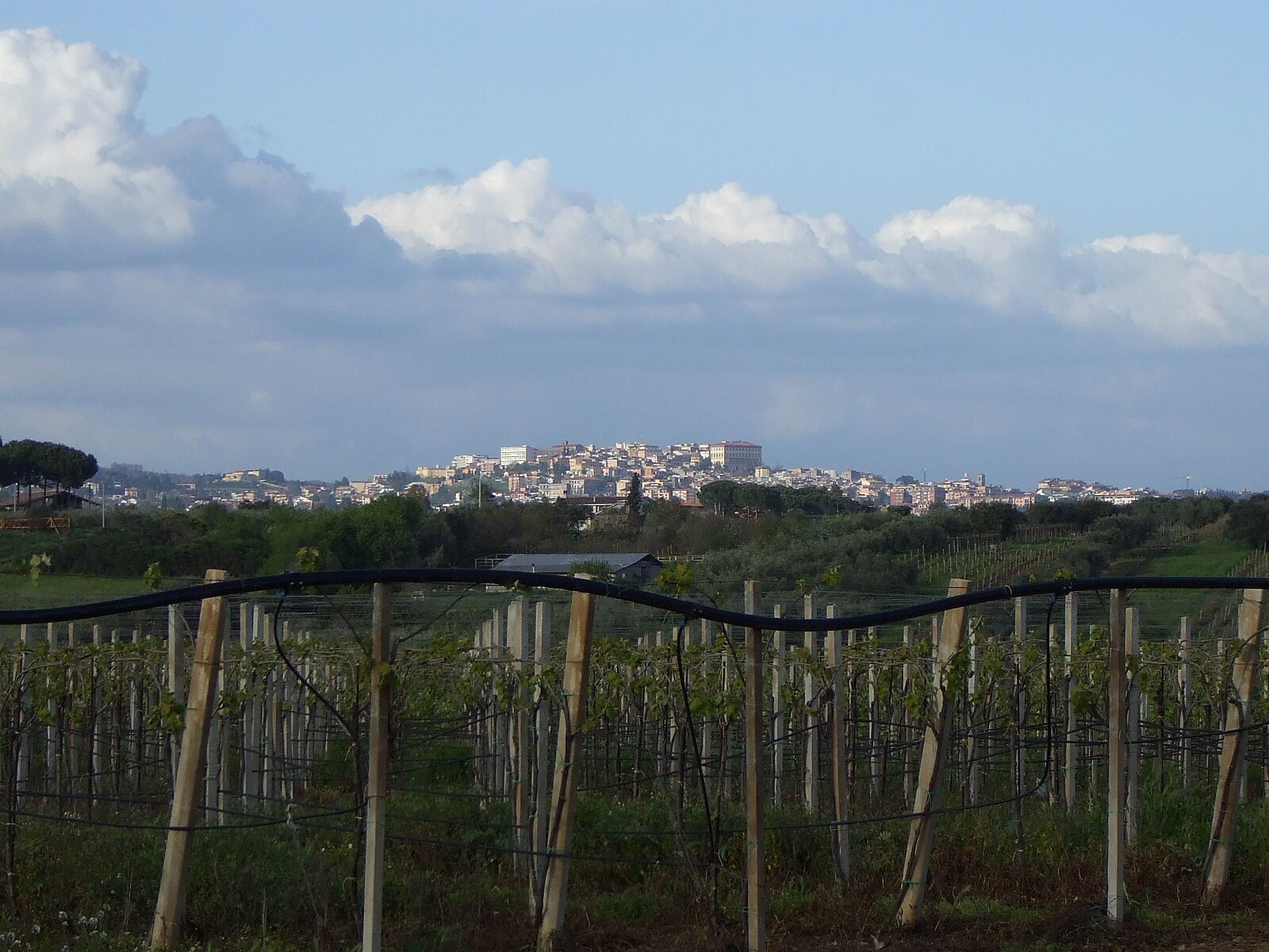 Velletri, vista caratteristica